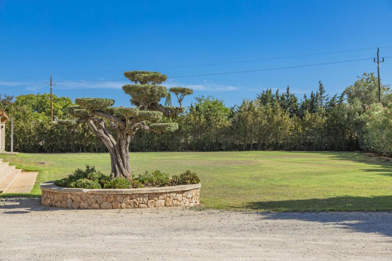 Villa Can Magnus Alcudia  Ngoại thất bức ảnh